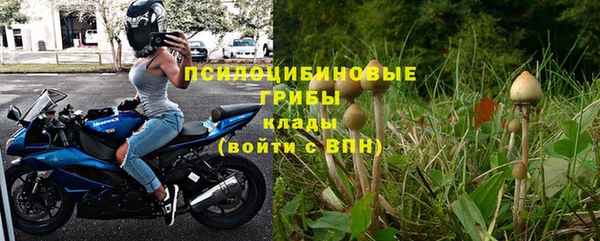 хмурый Богородск