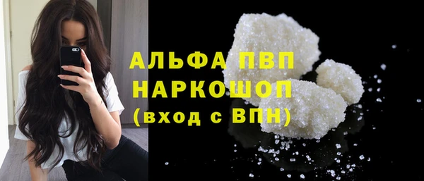 стаф Богданович