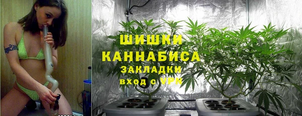 стаф Богданович