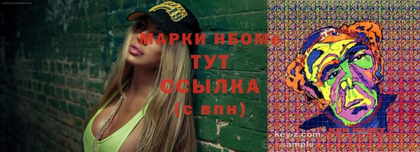 стаф Богданович