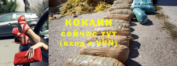 стаф Богданович