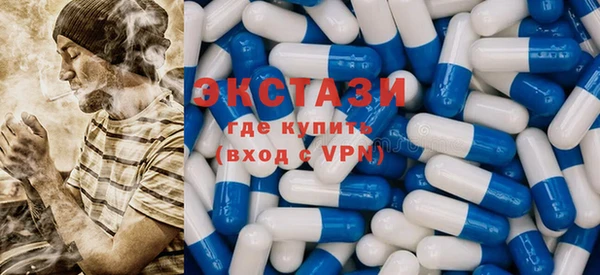 стаф Богданович