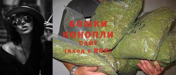 стаф Богданович