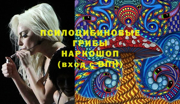 хмурый Богородск