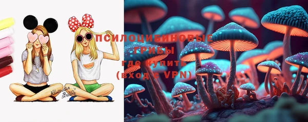 стаф Богданович