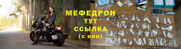 стаф Богданович